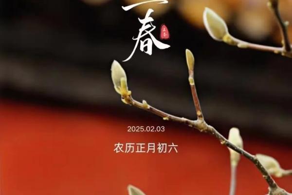 2023年立春具体是几点几分开始？想准时迎春纳福