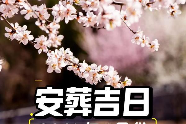 2025年11月安葬最佳时间表(2025年11月份安葬黄道吉日一览表)