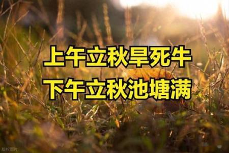 2022年立秋具体时间是几点几分？需要精确到秒吗？