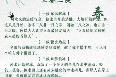 2022年立春的准确时间是什么时候，需要注意哪些习俗？