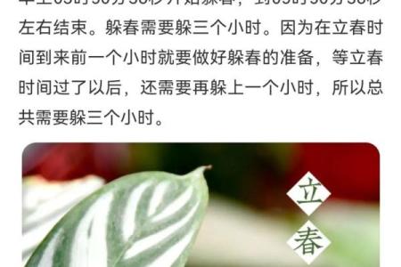 2022年立春的准确时间是什么时候，需要精确到分钟？