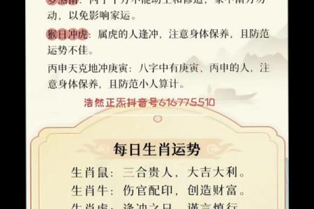 2025年11月17号提车日子好不好？风水运势和得把眼睛擦亮了详解