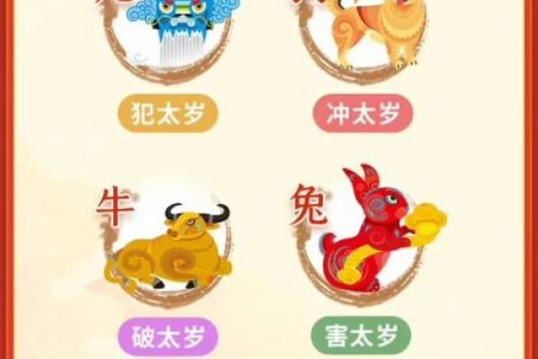 麦玲玲2012龙年运程生肖属狗的人事业财运详解