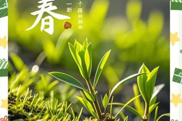 请问今年立春的准确时间是在几点钟到来