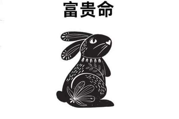 2024年属兔人的贵人属相是谁？事业财运上如何借助贵人运势提升自己？