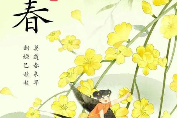 2024年立春具体时间是几月几号几点几分几秒开始？