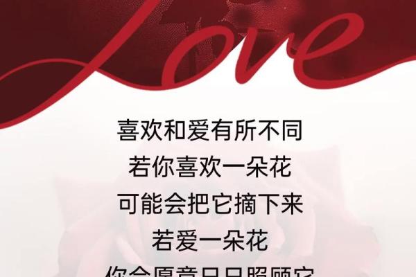 请问2024年的西方情人节在哪一天，如何规划约会