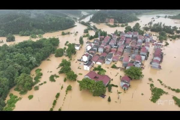 2023年开始的七年大灾难具体是指哪些事件和征兆？