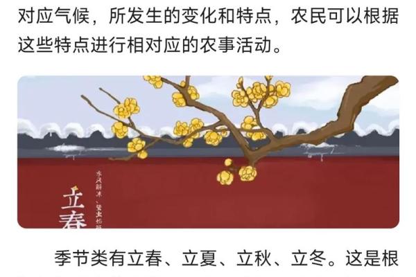 2024年打春具体时间是什么时候，当天有什么传统习俗和讲究？