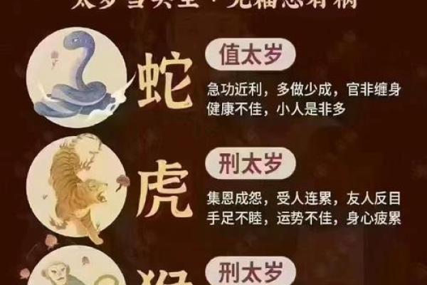属兔人2023年本命年刑太岁应该怎么化解最简单有效