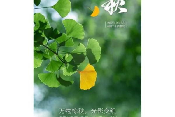 2023年立秋具体是早立秋还是晚立秋？准确时间解析