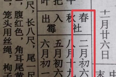 2024年立春的准确阴历时间与时辰是几点钟？