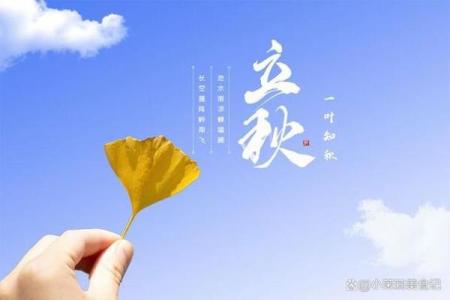 2024年立秋具体是几点几分？想了解精确时间安排活动