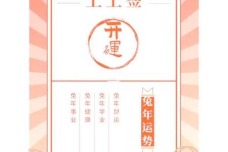 2023年葵卯兔年本命年运势解析与属兔人全年运势得把眼睛擦亮了指南