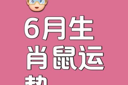 五行穿衣2021年10月10日鼠 2021年10月10日五行属什么生肖鼠