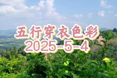五行穿衣指南2022年5月4日 2022年5月4日五行穿衣旺运颜色