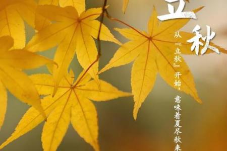 2024年立秋的精准时间点查询，是上午还是下午几点钟？