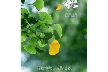 2023年立秋具体是早立秋还是晚立秋？准确时间解析