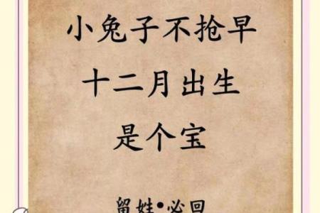 从五行八字看属兔的最佳出生月份，哪个月最有福气？