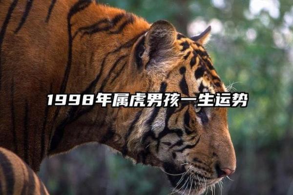 98年属虎女2025年结婚吉日(98年虎女2025年结婚)