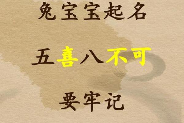 适合小朋友说的兔年春节拜年顺口溜大全哪里有？