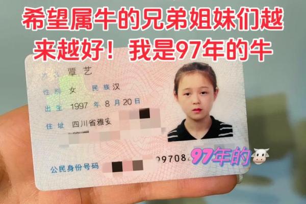 97年牛女2025年结婚吉日(1997年属牛在2025结婚好吗)