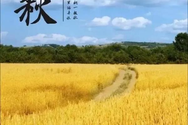 想提前安排出行计划，请问2019年立秋节气是哪一天？