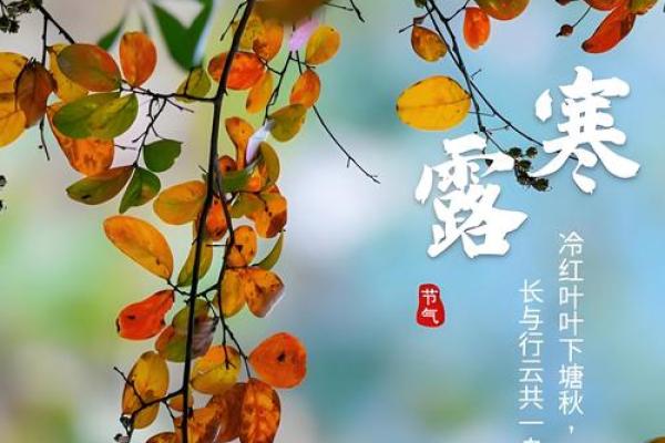 2024年寒露的准确时间是什么时候,需要精确到分钟? 2024年寒露的准确时间是什么时候,需要精确到分钟?