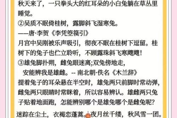 2023年兔年春节拜年词怎么说？适合长辈和领导的吉祥话汇总