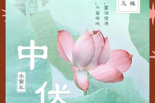 五行穿衣2022年7月4日网易 2022年7月4日五行穿衣指南