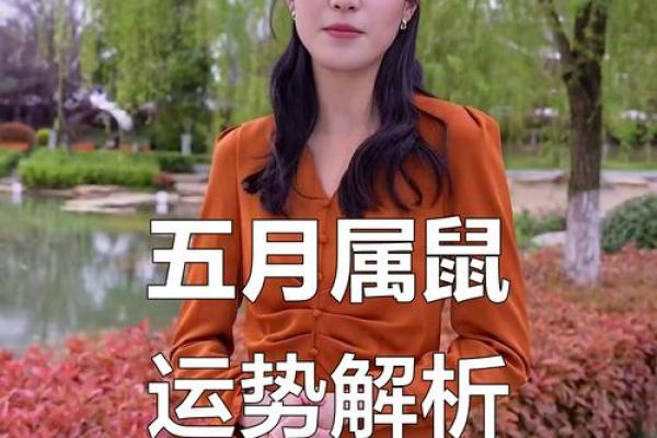 84年五月鼠女的运势你可以试试些方法