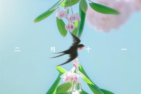 2024年打春具体是几月几号几点几分开始? 2024年打春具体是几月几号几点几分开始?