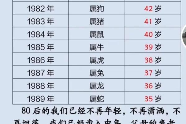 如何准确计算1994年出生到2024年的虚岁和周岁年龄差异？