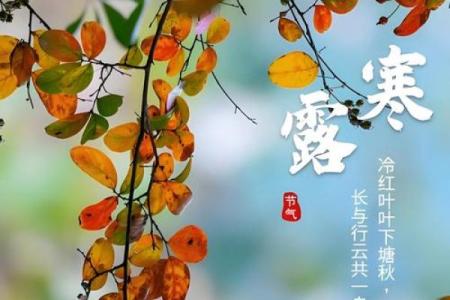 2024年寒露的准确时间是什么时候，需要精确到分钟？