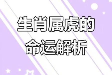 86年虎女2025年运势及每月的运程不妨试试些妙招吧