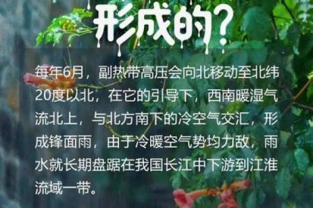 2023年入梅具体时间是什么时候，哪一天开始下雨？