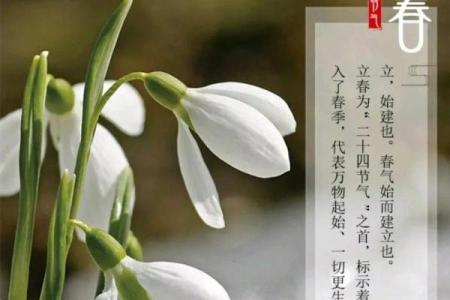 2024年躲春的最佳时间和具体方法步骤是什么，如何正确操作