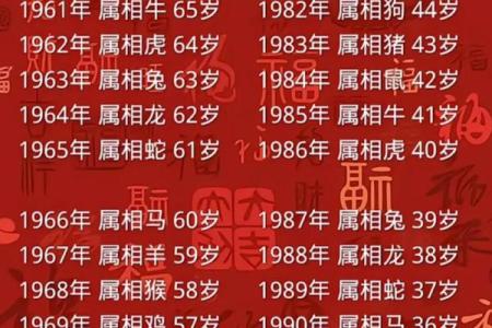 如何准确计算1994年出生到2024年的虚岁和周岁年龄差异？