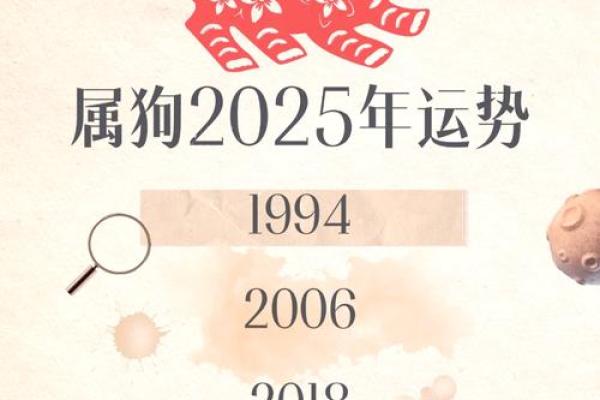 2025年属狗的今年运势如何，不同年龄段的财运和健康运详解