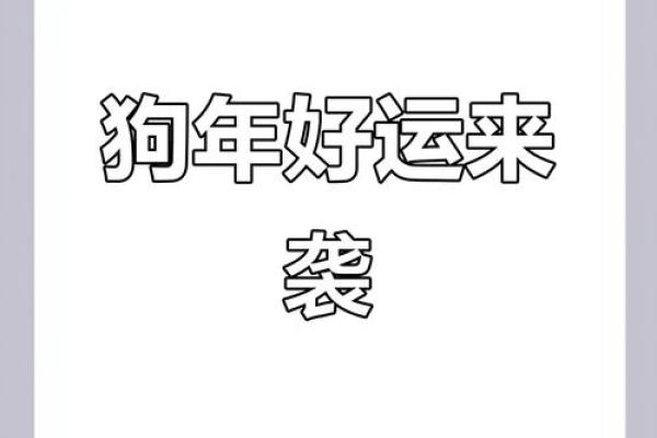 2025年属狗的今年运势如何，不同年龄段的财运和健康运详解