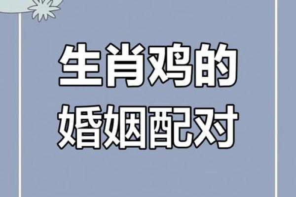 属相鸡和狗的配对在婚姻中需要注意哪些问题与挑战？