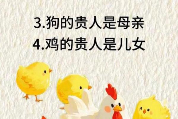 属狗的人和属牛的人在婚姻中是否相配，需要注意哪些方面？
