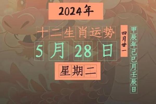 属龙人2025年运势详解全年运程完整版最新分析