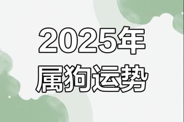 2025年属狗人的事业财运健康感情运势如何哪些月份要小心