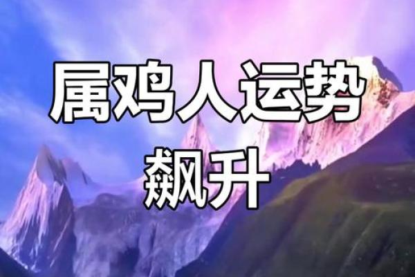 1981年属鸡女未来五年事业运势与财运详解