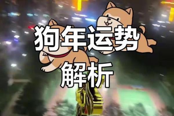 2025年属狗人的全年运势如何？健康与家庭方面需要注意什么？