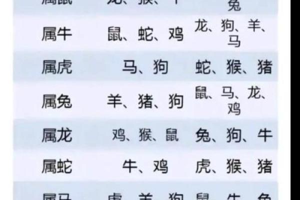 81年属鸡的人今年运势如何以及2024年实际年龄计算方式