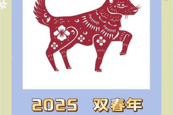 1982年属狗人2025年运势详解及每月运程完整版