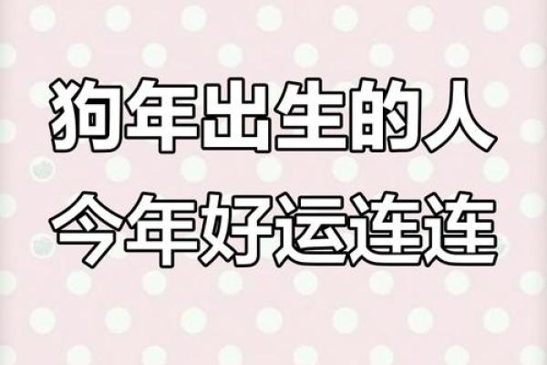 2006年出生的属狗人2025年健康运怎么样，需要注意哪些方面？