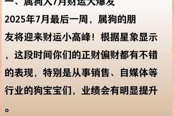 1970年属狗的人今年财运和事业运势如何发展？